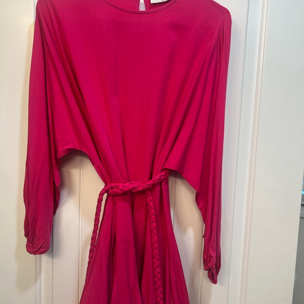 Long sleeve hot pink Palms away dress